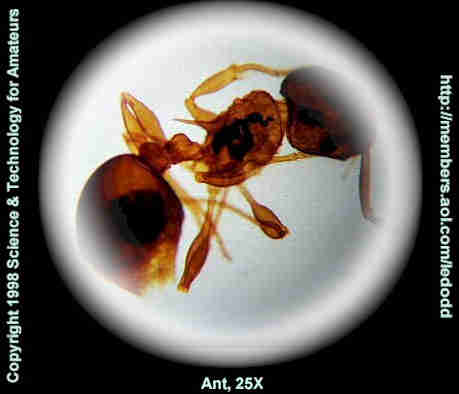 1125xx.jpg (35972 bytes)