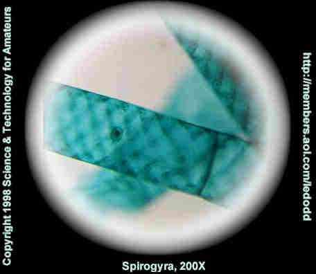 22200xx.jpg (34428 bytes)